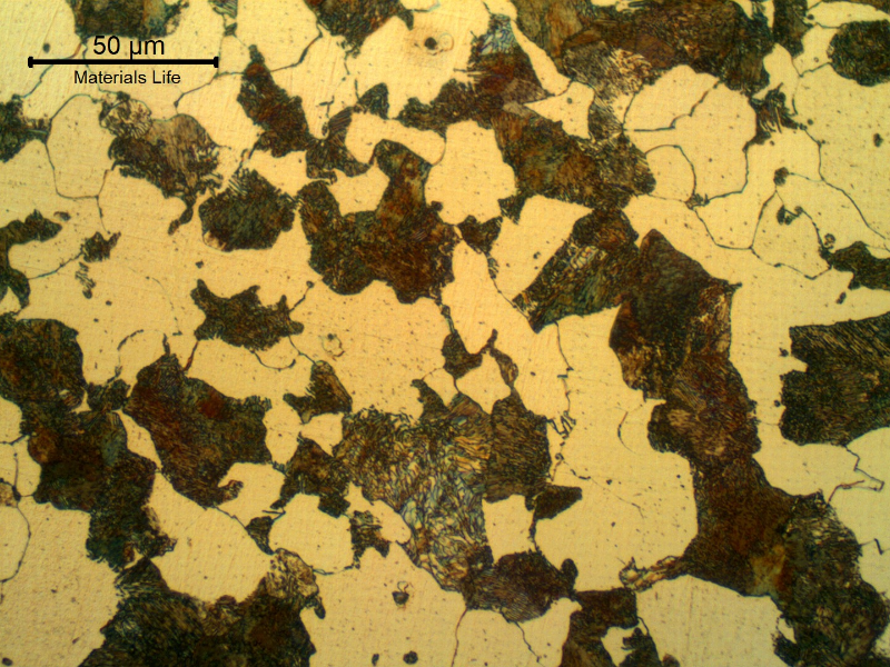 Micrography of the pin close to the interface with the spray and fuse layer. Transverse section. The fuse was conducted in high temperature and the pin was cooled very slowly, forming a ferritic-perlitic structure even for this high hardenability base metal.