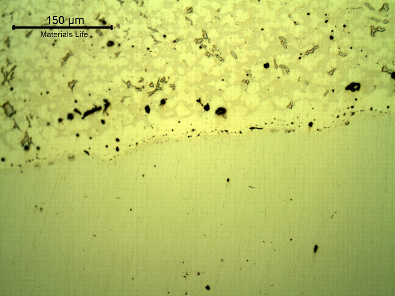 Micrography, as polished, of the transverse section of the forged pin with the layer applied by a (thermal) spray and fuse process. The layer was melted after thermal spray application and the layer presents a continuous matrix, but there are globular oxides and pores entrapped.