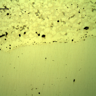 Micrography, as polished, of the transverse section of the forged pin with the layer applied by a (thermal) spray and fuse process. The layer was melted after thermal spray application and the layer presents a continuous matrix, but there are globular oxides and pores entrapped.
