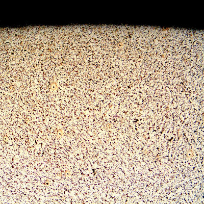 Micrography of a transverse section of the pipe, close to the external surface (OD). 
Refined structure. Ferrite and pearlite.