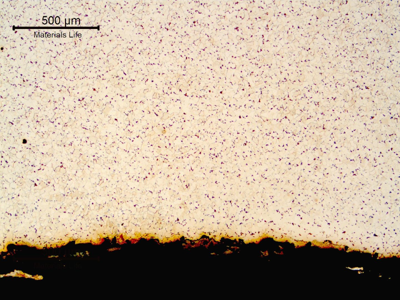 Micrography of a transverse section of the pipe, close to the internal surface (ID). The pipe presented a predominatly ferritic structure.