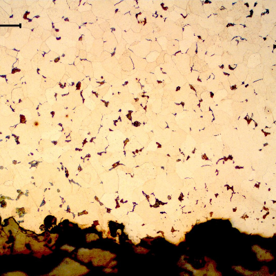 Micrography of a transverse section of the pipe, close to the internal surface (ID). The pipe presented a predominatly ferritic structure.
