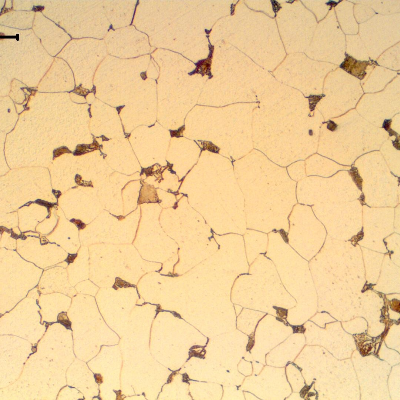 Micrography of a transverse section of the pipe, close to the internal surface (ID). The pipe presented a predominatly ferritic structure.