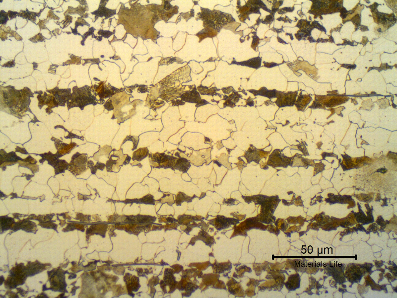 Micrographic detail of a transverse section of the tubing, in the center of the thickness. Ferritic-pearlitic structure. Pearlite colonies in bands.