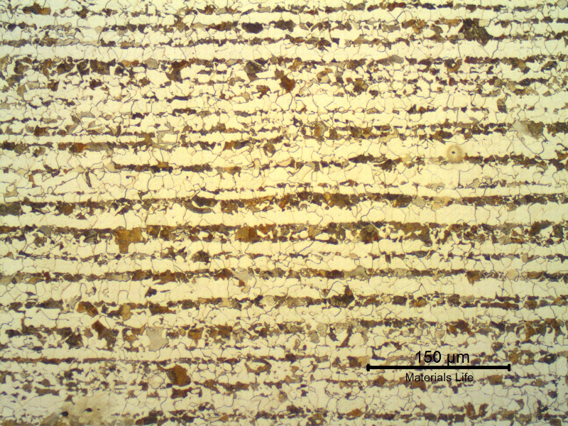 Micrography of a transverse section of the tubing, in the center of the thickness. Ferritic-pearlitic structure. Bands of pearlite colonies. Refined grains.