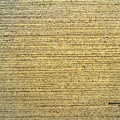 Low magnification micrography of a transverse section of the tubing, in the center of the thickness. Ferritic-pearlitic banded structure.