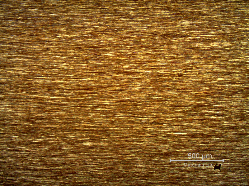 Micrography of a longitudinal section of the core wire, 2.0 mm diameter, in the center of the thickness, showing a strain hardened structure, aligned.