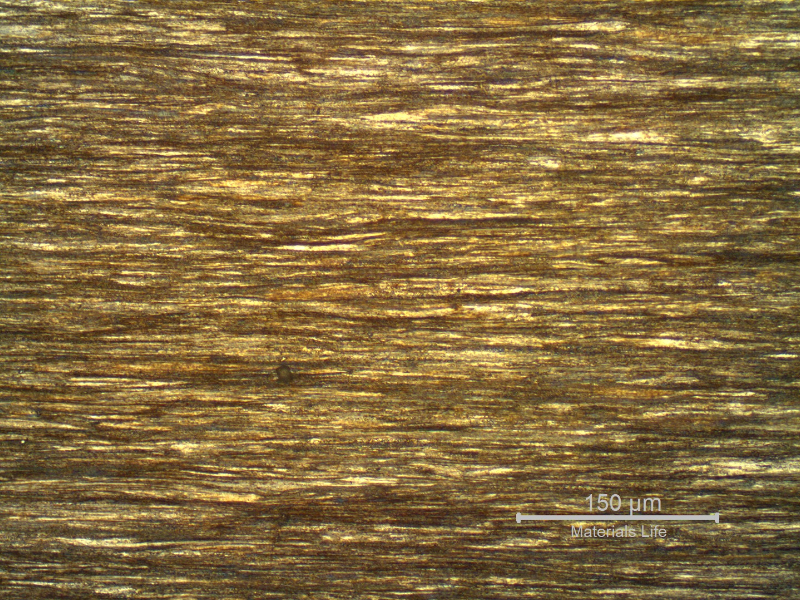 Micrography of a longitudinal section of the core wire, 2.0 mm diameter, in the center of the thickness, showing a strain hardened pearlitic structure.