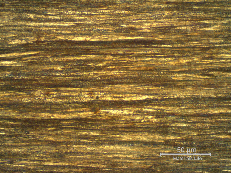 Micrographic detail of a longitudinal section of the core wire, 2.0 mm diameter, in the center of the thickness, showing a strain hardened pearlitic structure.