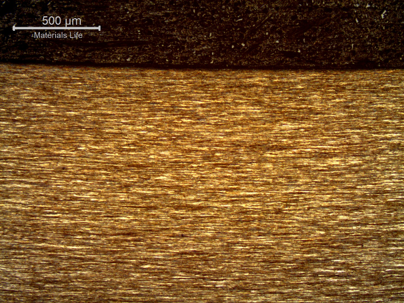 Micrography of a longitudinal section of the core wire, 2.0 mm diameter, at the surface of the wire, showing that the wire presents no protective layer (not galvanized nor plated) and the microstructure is strain hardened, aligned.