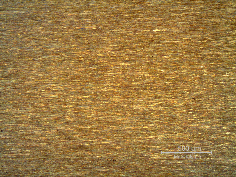 Micrography of a longitudinal section of the internal strand wire, 2.6 mm diameter, in the center of the thickness, showing a strain hardened structure, aligned.