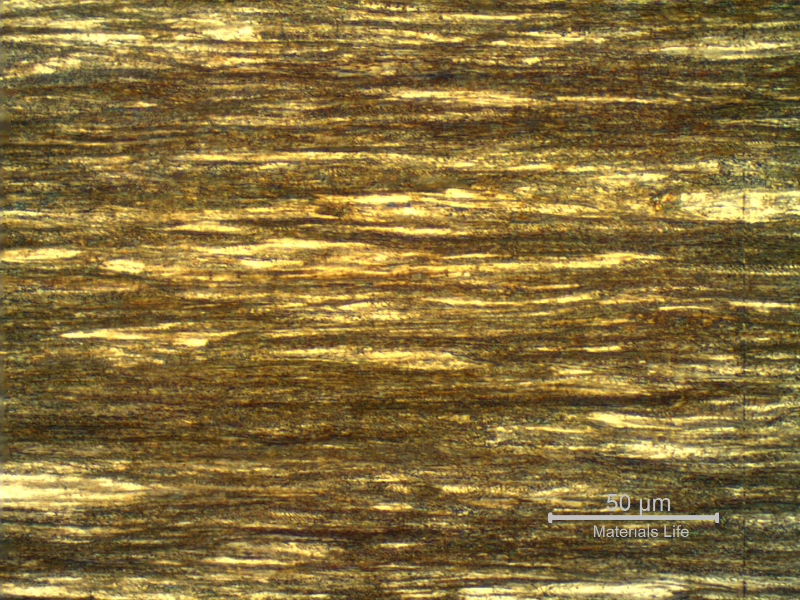 Micrographic detail of a longitudinal section of the core wire, 3.8 mm diameter, in the center of the thickness, showing a strain hardened pearlitic structure.