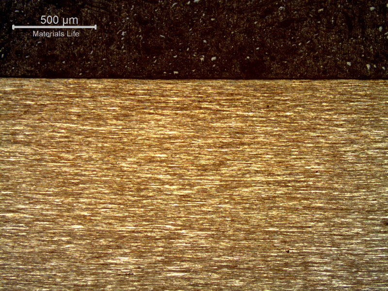 Micrography of a longitudinal section of the strand external layer, wire 3.8 mm diameter, at the surface, showing that the wire presents no protective layer (not galvanized nor plated) and the microstructure is strain hardened, aligned.