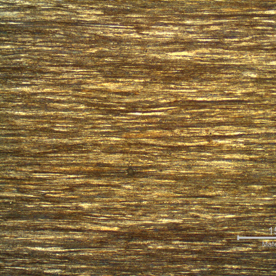 Micrography of a longitudinal section of the core wire, 2.0 mm diameter, in the center of the thickness, showing a strain hardened pearlitic structure.