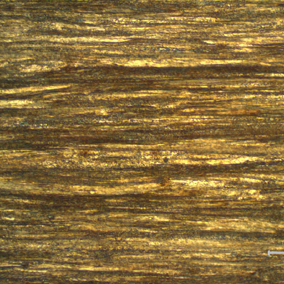 Micrographic detail of a longitudinal section of the core wire, 2.0 mm diameter, in the center of the thickness, showing a strain hardened pearlitic structure.