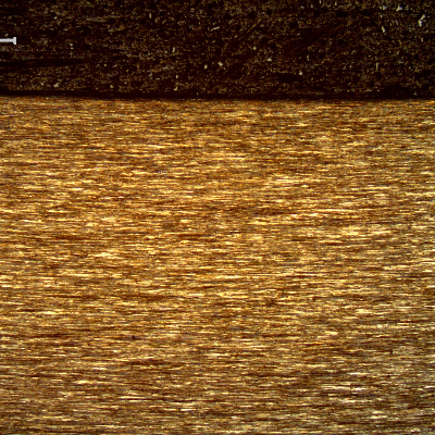 Micrography of a longitudinal section of the core wire, 2.0 mm diameter, at the surface of the wire, showing that the wire presents no protective layer (not galvanized nor plated) and the microstructure is strain hardened, aligned.
