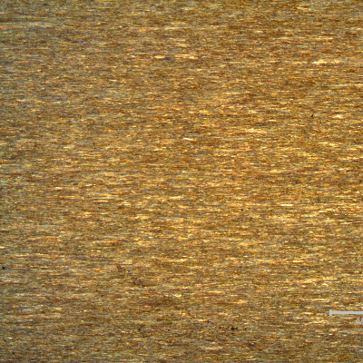 Micrography of a longitudinal section of the internal strand wire, 2.6 mm diameter, in the center of the thickness, showing a strain hardened structure, aligned.