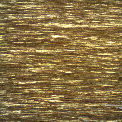 Micrography of a longitudinal section of the strand external layer, wire of 3.8 mm diameter, in the center of the thickness, showing a strain hardened pearlitic structure.