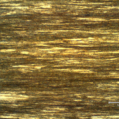 Micrographic detail of a longitudinal section of the core wire, 3.8 mm diameter, in the center of the thickness, showing a strain hardened pearlitic structure.