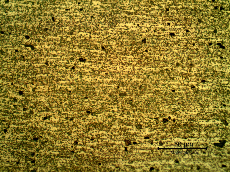 Micrographic detail of the aligned particles in the plate base metal. The grain boundaries are not clearly identified in this higher magnification.