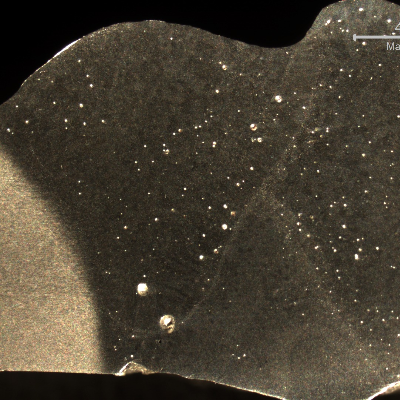 Macrographic detail of the vertical up position welded joint, showing the three passes.  The second and third passes penetrated to much, almost through wall thickness.  The shining spots are pores, some of a large size.