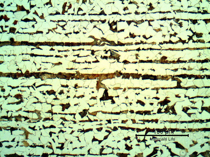 Micrography of the plate in a longitudinal section, presenting a typical ferritic pearlitic structure, banded.