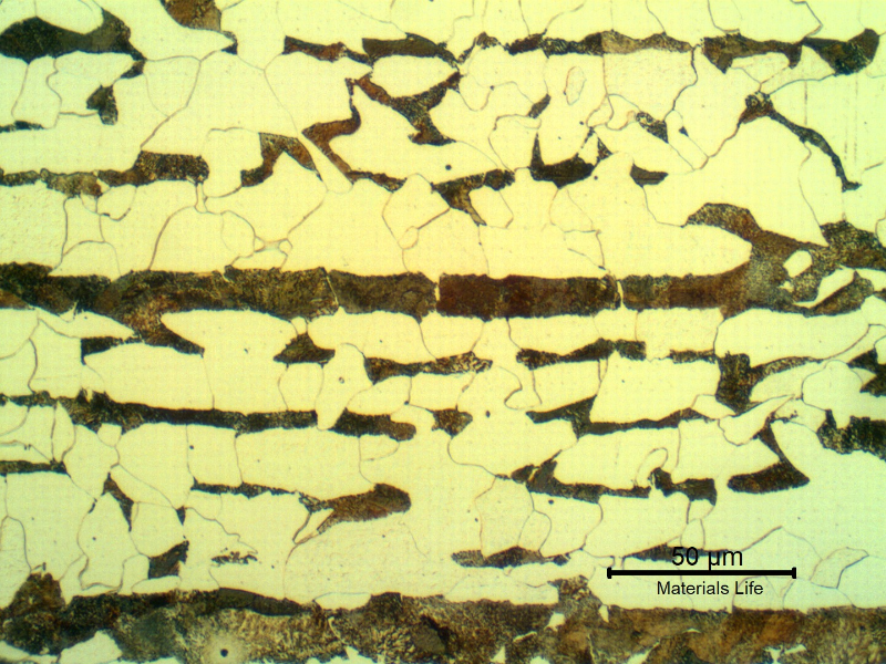 Micrographic detail of the ferritic pearlitic structure of the plate in the longitudinal section.