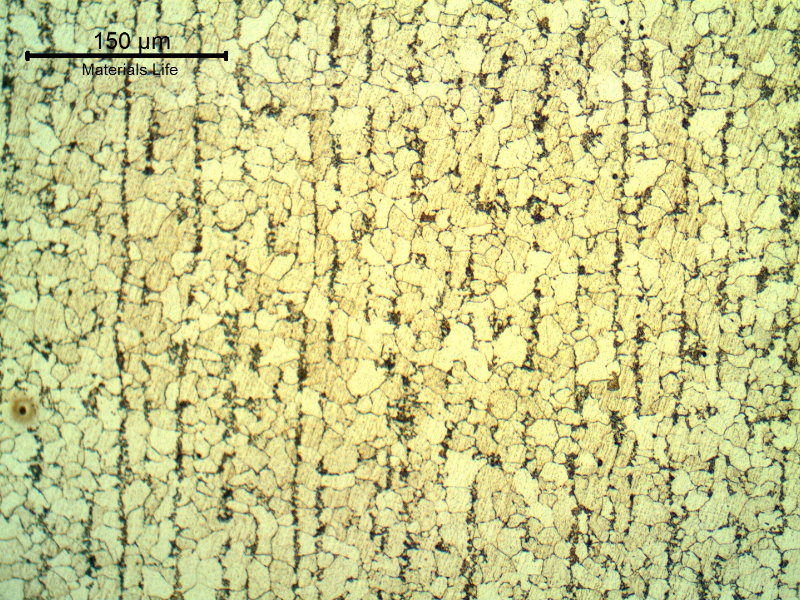 Micrography of the tube in a longitudinal section, presenting a typical ferritic pearlitic structure, banded.