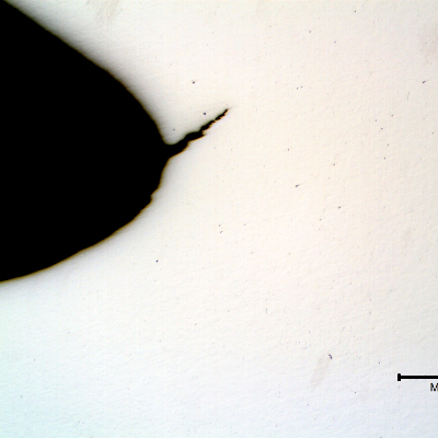 Micrography as polished of the longitudinal section of the bolt at the first thread fillet below the fracture, presenting a cracking at the bottom of the fillet.