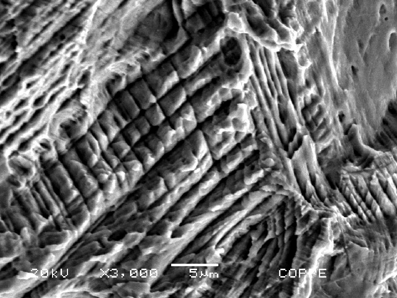 Nitronic 60 cylinder. Scanning electron microscopy image detail of a corroded region inside a pitting showing the etched structure (strain hardened austenitic structure).