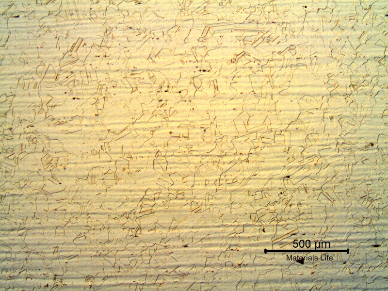 Nitronic 60 cylinder. Micrography of the longitudinal section in the center of the thickness, presenting a fully austenitic microstructure, equiaxial grains, and evidences of the manufacturing process by hot forming.