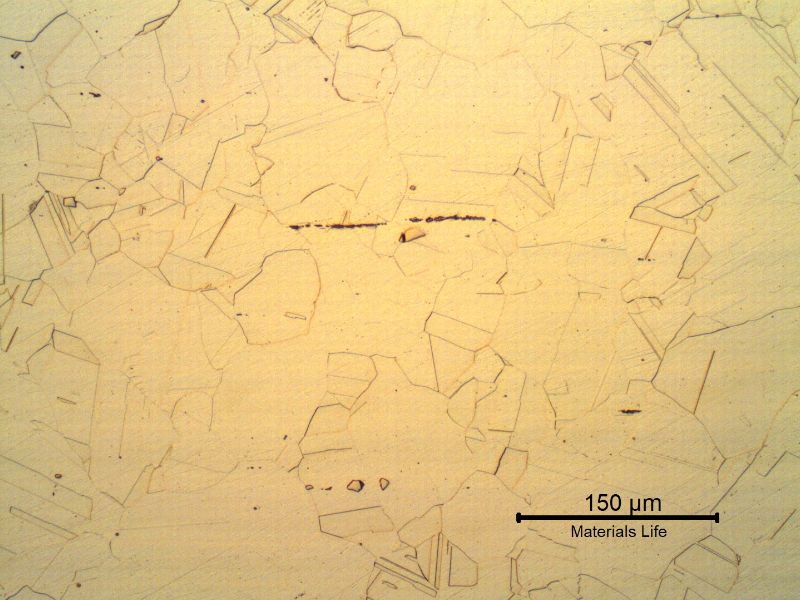 Nitronic 60 cylinder. Micrography of the longitudinal section in the center of the thickness, presenting a fully austenitic microstructure, with some aligned non metallic inclusions.