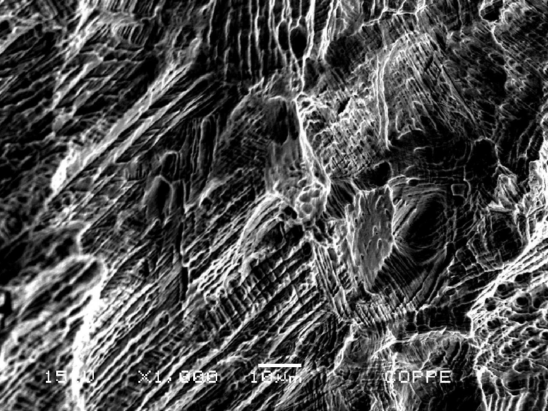 Nitronic 60 cylinder. Scanning electron microscopy image of a corroded region at the external surface of the cylinder, that is austenitic. The image shows the structure revealed by dissolution of the material (inside the pits) evidencing the strain hardened layer that is presented at the cylinder surface due to the manufacturing process.