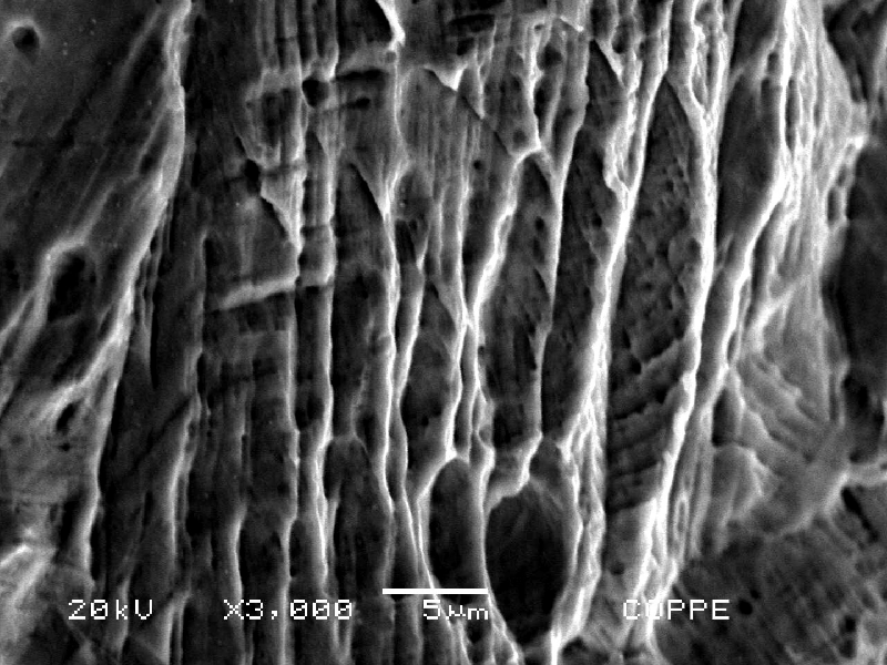 Nitronic 60 cylinder. Scanning electron microscopy image of a corroded region in a pit, at the external surface of the cylinder.  The corrosion (dissolution) revealed the strain hardened layer at the surface.