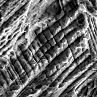 Nitronic 60 cylinder. Scanning electron microscopy image detail of a corroded region inside a pitting showing the etched structure (strain hardened austenitic structure).