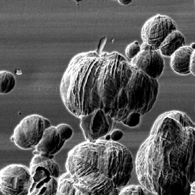 Nitronic 60 cylinder. Scanning electron microscopy image of a corroded region at the external surface of the cylinder, that is austenitic.  The image shows the localized corroded regions in form of pits.