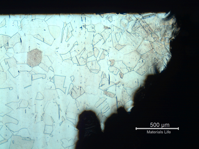 Micrographic detail of the crevice corrosion in the case wall, showing that the structure is not affected and is fully austenitic with equiaxial grains typical of a solution annealed condition.