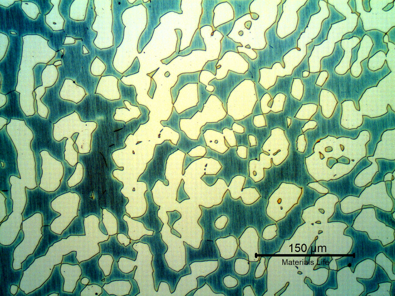 Micrography of a transverse section of the forged bar in the center of the thickness. Ferrite and austenite.  The ferrite amount, measured by metallographic method, manual counting, is 59%.