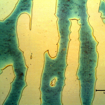 Micrographic detail of the ferrite and austenite structure in the longitudinal section of the forged bar, in the center of the thickness.