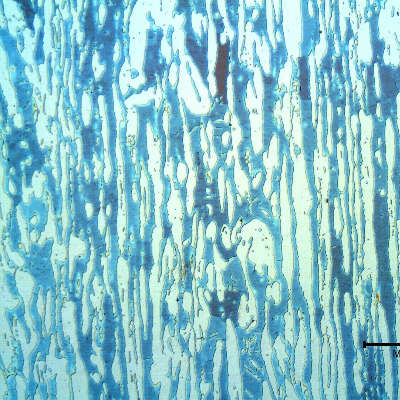 Micrography of a longitudinal section of the forged bar in the center of the thickness. Ferrite and austenite.  Coarse structure.