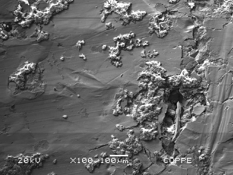 Microscopic image by scanning electron microscope (SEM) of the ring surface that presented pites under fouling deposits.