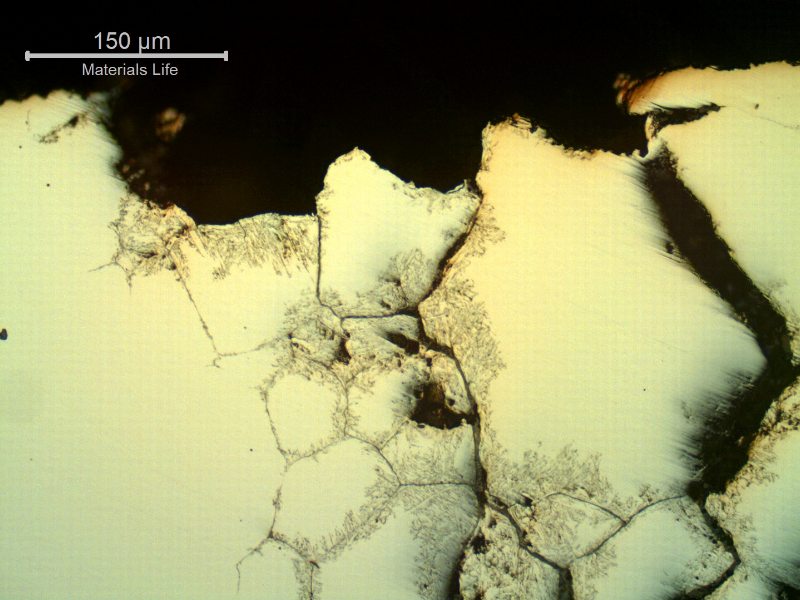 Micrography of a transverse section of the ring, at the pitting position, as polished, showing that there are intergranular cracks and the martensitic structure is corroded (chemical dissolution) inside the pitting.