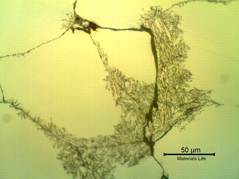 Micrographic detail of a transverse section of the ring, showing the corroded martensitic structure (chemical dissolution) inside the pitting.