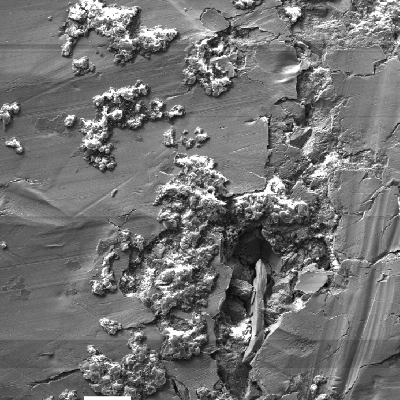 Microscopic image by scanning electron microscope (SEM) of the ring surface that presented pites under fouling deposits.