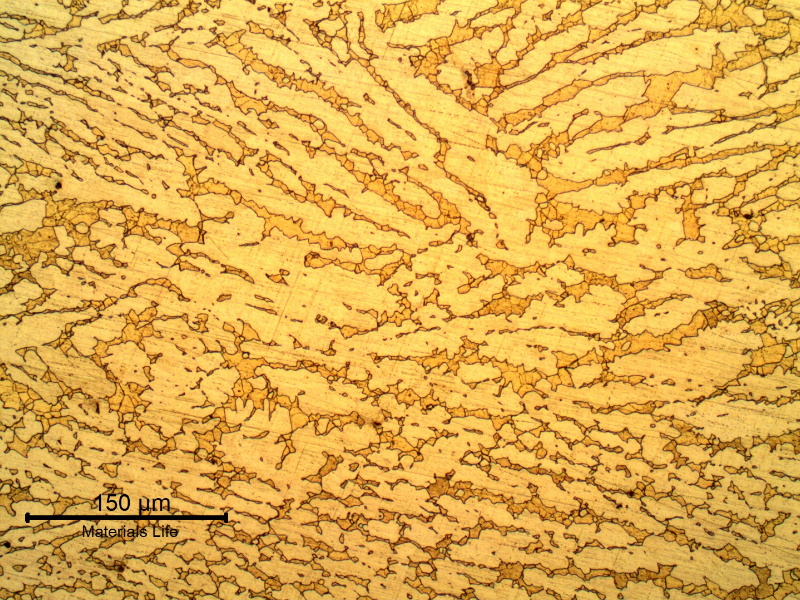 Micrography of the non corroded region of the tubesheet presenting a microstructure of alpha (light yellow phase) and beta (orange phase).