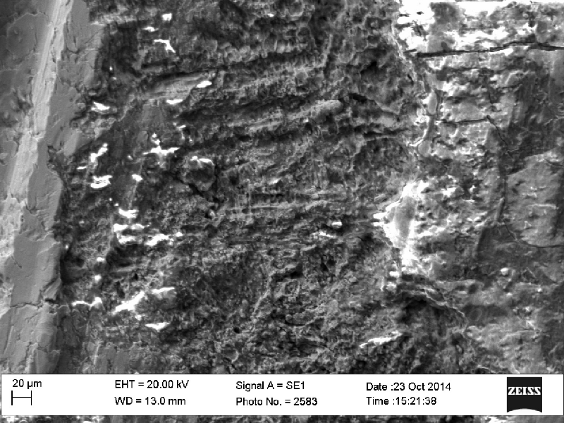 Aspect of the surface of the platesheet at a corroded area, showing the selective attack effect.