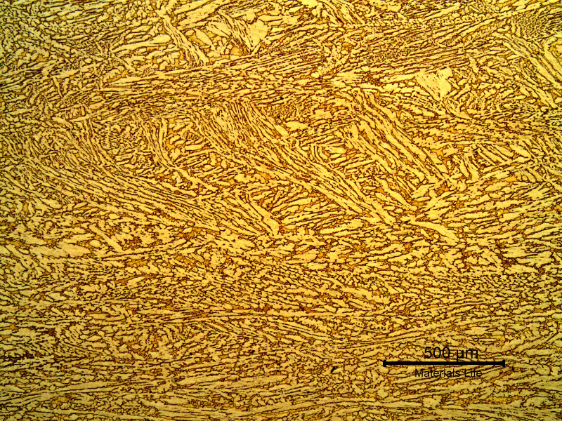 Micrography of a transverse section of the platesheet presenting a duplex structure, alpha (light yellow) and beta (orange) phases.