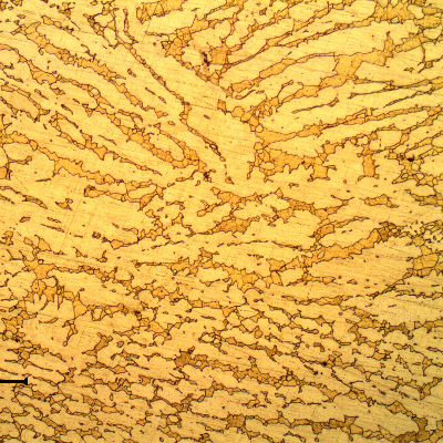 Micrography of the non corroded region of the tubesheet presenting a microstructure of alpha (light yellow phase) and beta (orange phase).