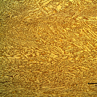 Micrography of a transverse section of the platesheet presenting a duplex structure, alpha (light yellow) and beta (orange) phases.