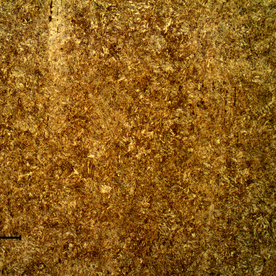 Micrography of the longitudinal section of the bolt in the center of the thickness (ND 5/8") showing a uniform martensitic structure.